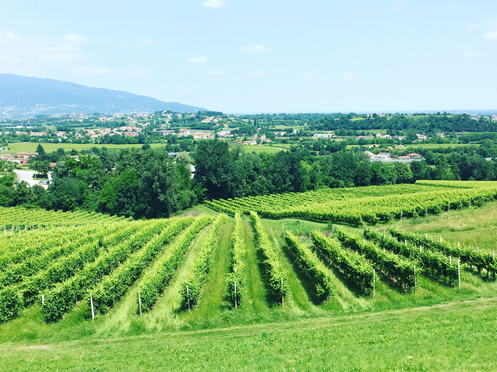 Day 14 – The holy grail | Prosecco wine country