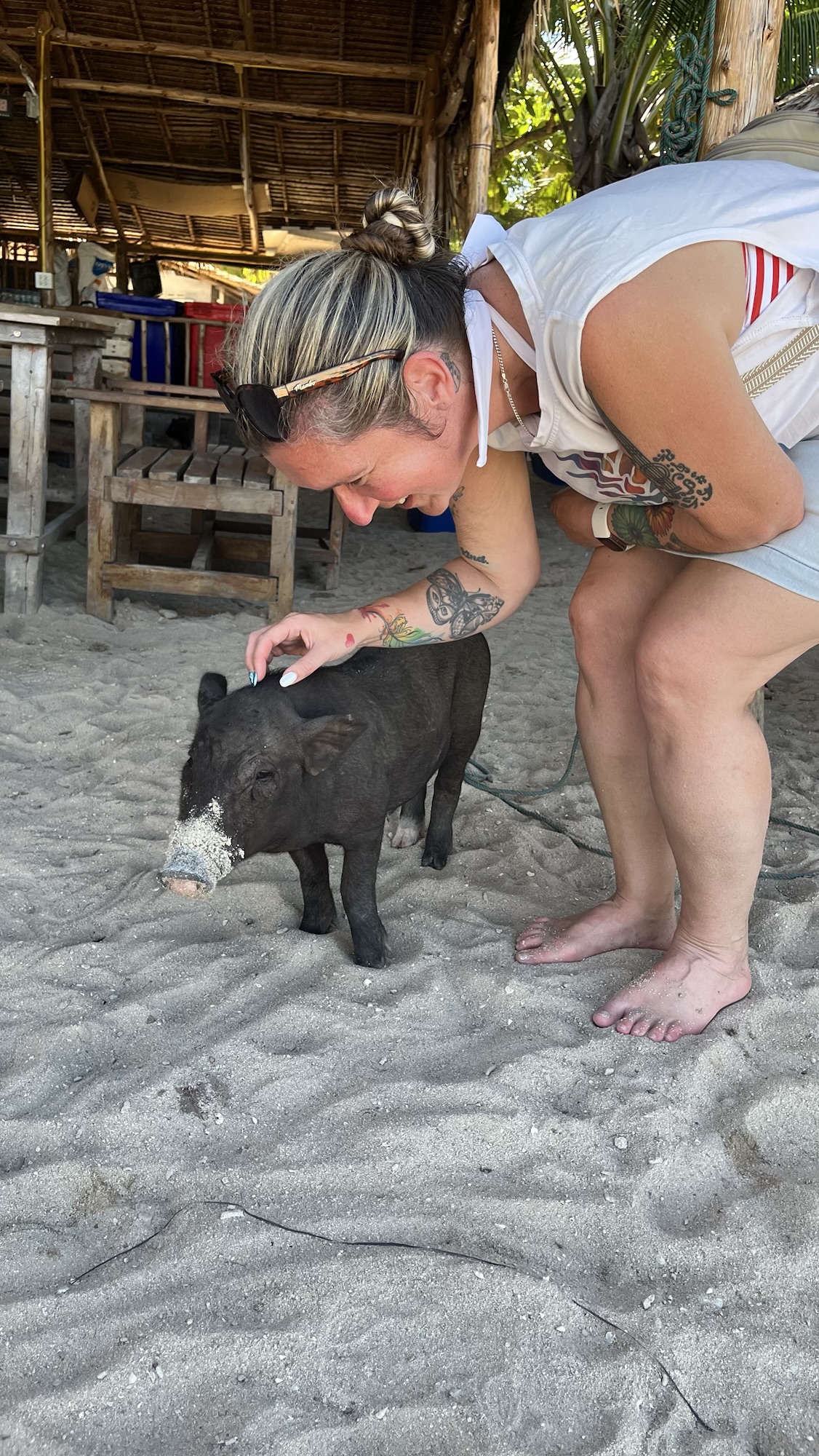 Day 3 – Sun, snouts, and sound systems