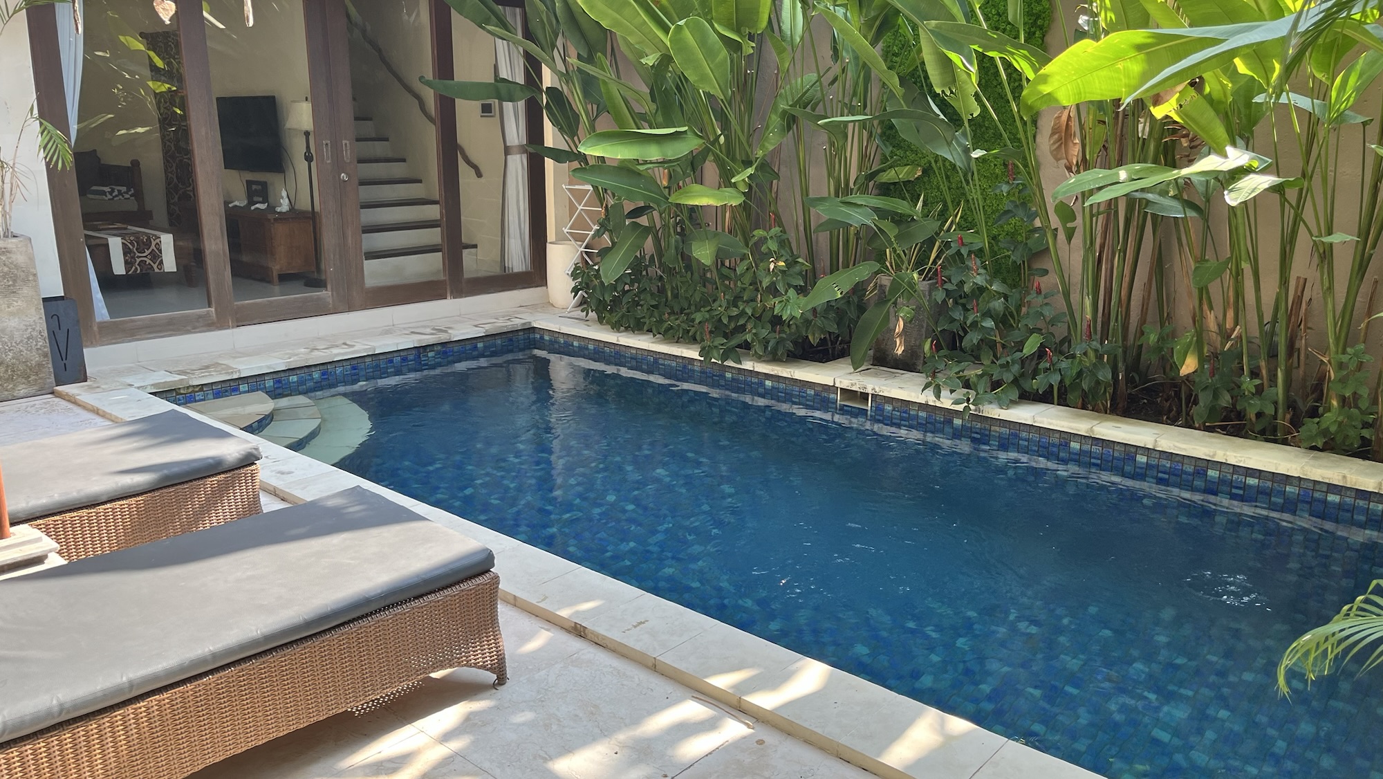 Day 6 – Patient zero and the last swim